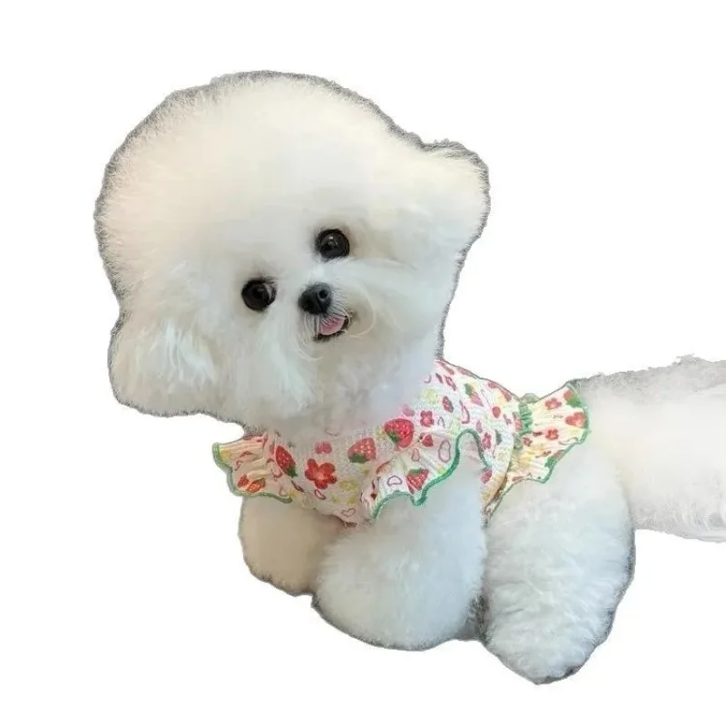 Perro Primavera/Verano fino gofre fresa falda de manga voladora mascota gato oso de peluche Schnauzer camiseta sin mangas fina ropa para cachorros - imagen 4