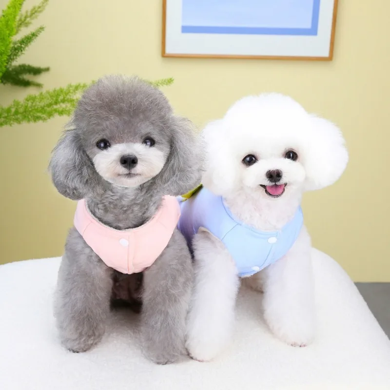 Abrigo de algodón con patrón de oso de peluche para mascotas, chaqueta cálida para perros, ropa para cachorros, ropa para perros de dibujos animados, Invierno lindo - imagen 2
