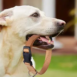 Collar ajustable resistente para perros pequeños, medianos y cachorros