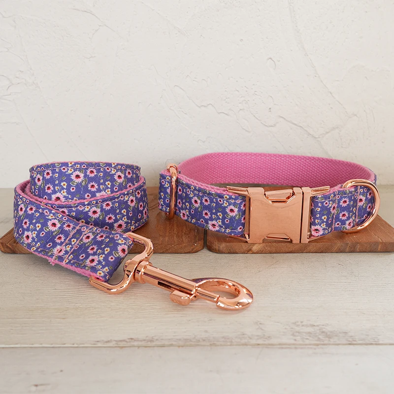 Dog Collar Leash Set