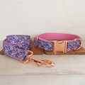 Dog Collar Leash Set