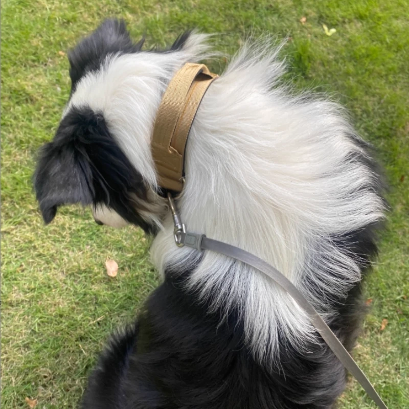 Collar de perro tejido de alta densidad con mango de control, collar de liberación rápida resistente y juego de correa reflectante para perros medianos/grandes - imagen 5