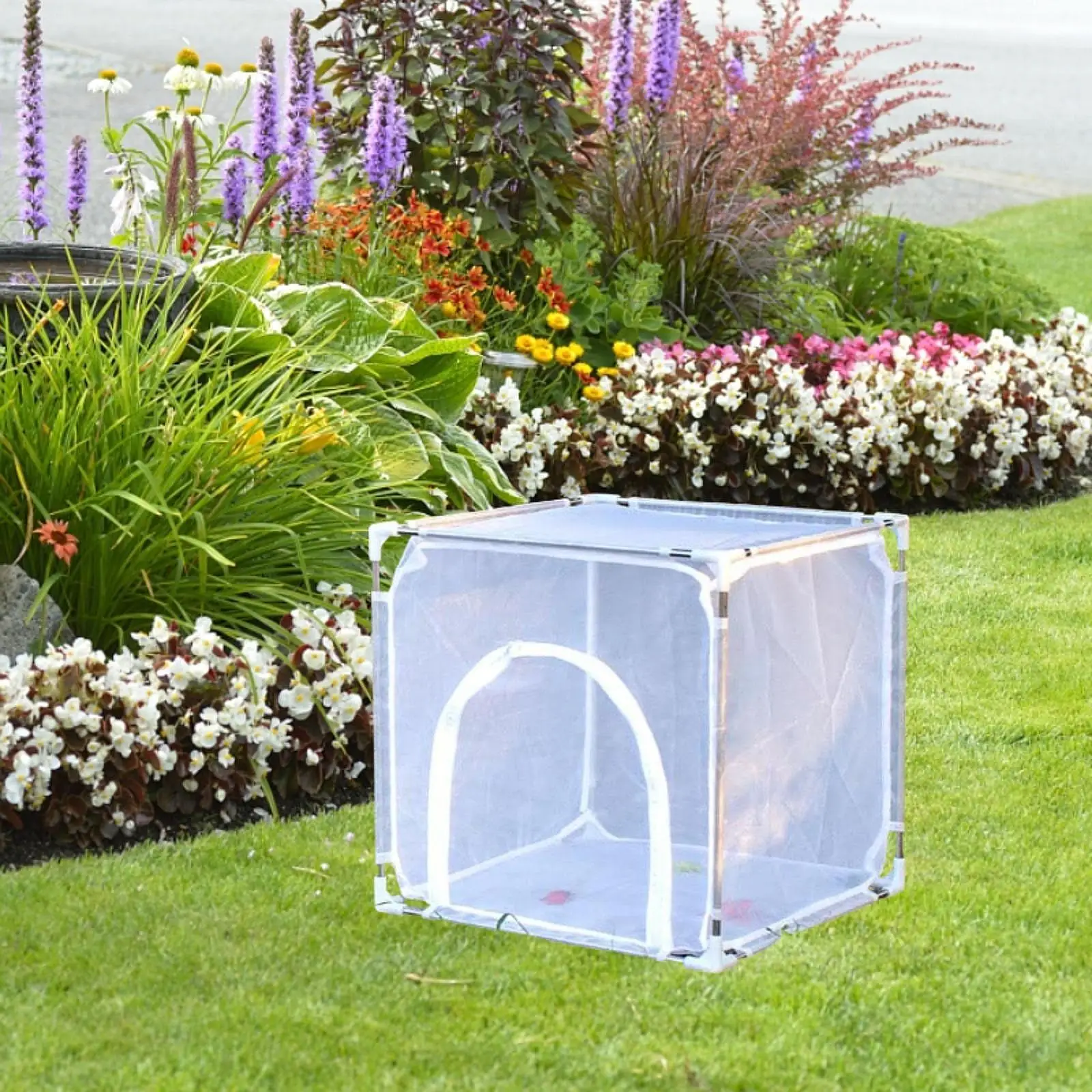 Butterfly Habitat Cage Freestanding Insect Rearing Cage for Garden Farm Yard