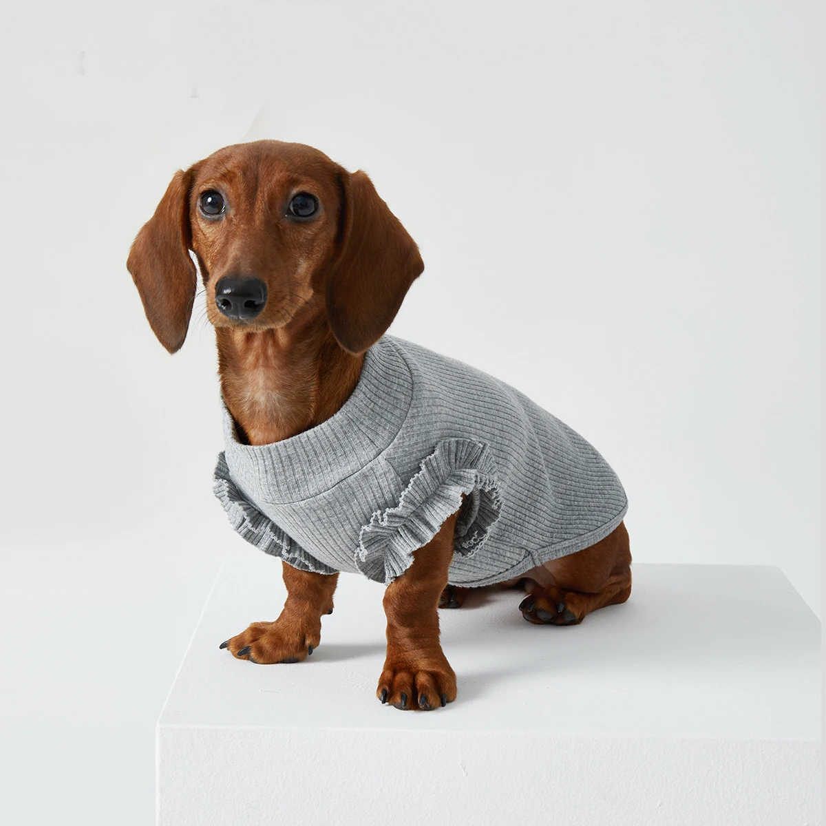 Chaleco de algodón blanco con mangas voladoras para perro Wiener en primavera y verano, vestido dulce gris para perros tejón, pijamas suaves para perro salchicha - imagen 4