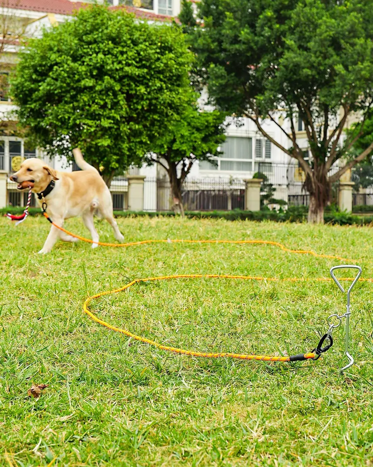 Correa de 30 pies de largo para perro con mango acolchado extraíble, correa resistente para perros grandes, correa de entrenamiento reflectante para jugar, acampar