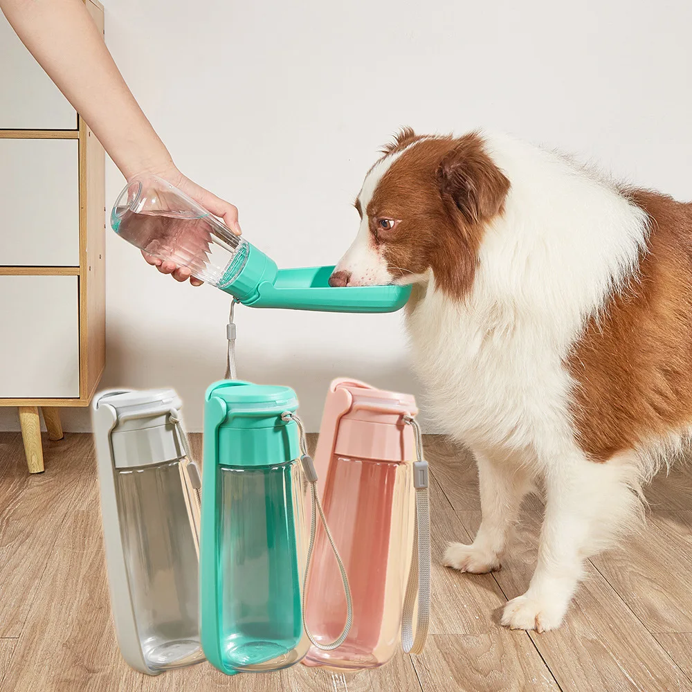 Dispensador portátil de botellas de agua para perros pequeños y grandes, cuenco plegable para senderismo al aire libre, suministros para mascotas Bulldog Francés - imagen 2