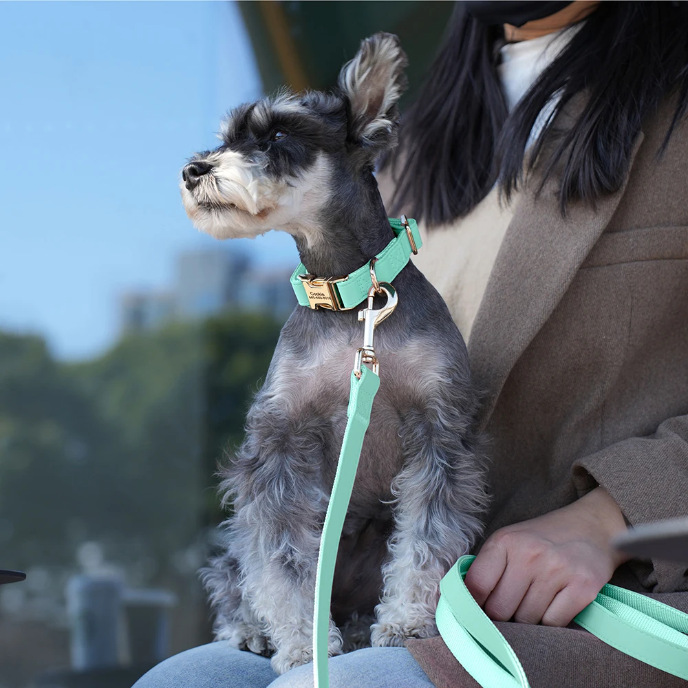 Collar de perro personalizado, collares de identificación de mascotas grabados gratis, Collar de cuero PU para perros, suave para perros pequeños, medianos y grandes, Chihuahua ajustable - imagen 5