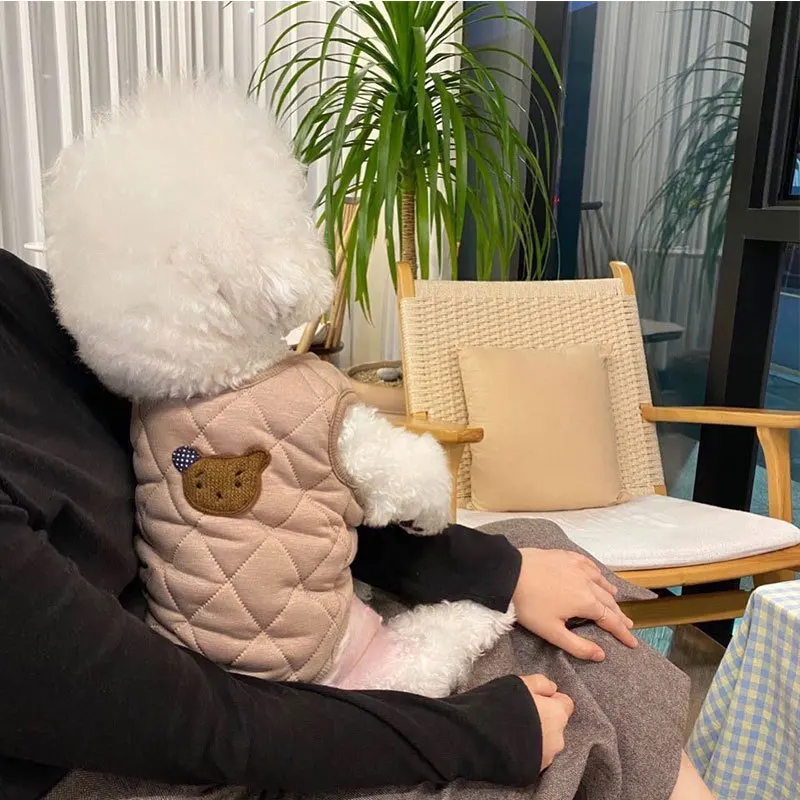 Chaqueta de plumón para perro a la moda, ropa cálida de invierno para perro, chaqueta con estampado de oso para cachorro, abrigo suave bonito para gato, disfraces para mascotas, ropa de Bulldog Francés - imagen 2