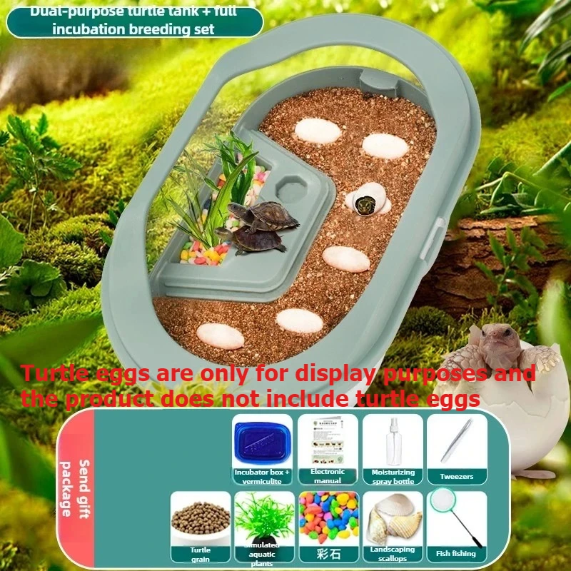 Caja para incubar huevos de tortuga, almacén de acuicultura, caja de cría de observación portátil, cabina pequeña para niños, huevos no incluidos - imagen 3