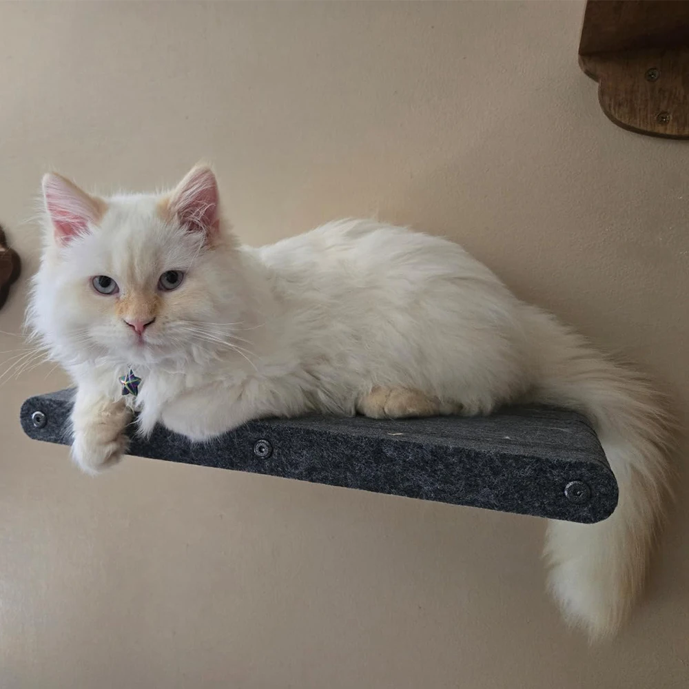 Estante perchero de pared para gatos con rascador – Fieltro gris - imagen 5