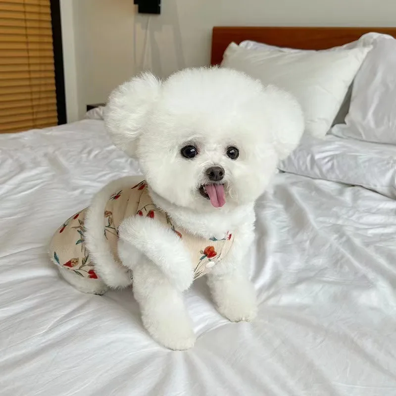 Chaleco de felpa Floral para mascotas, vestido Floral de felpa para año nuevo, oso de peluche, perro, gato, chaleco de tracción, ropa para cachorros, otoño e invierno, nuevo