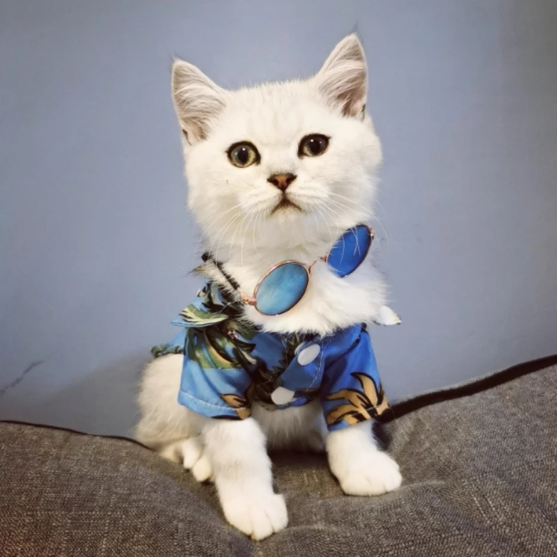 Gafas de sol redondas vintage para gatos, gafas para perros y gatitos pequeños, gafas reflectantes retro, accesorios geniales para cachorros y gatitos