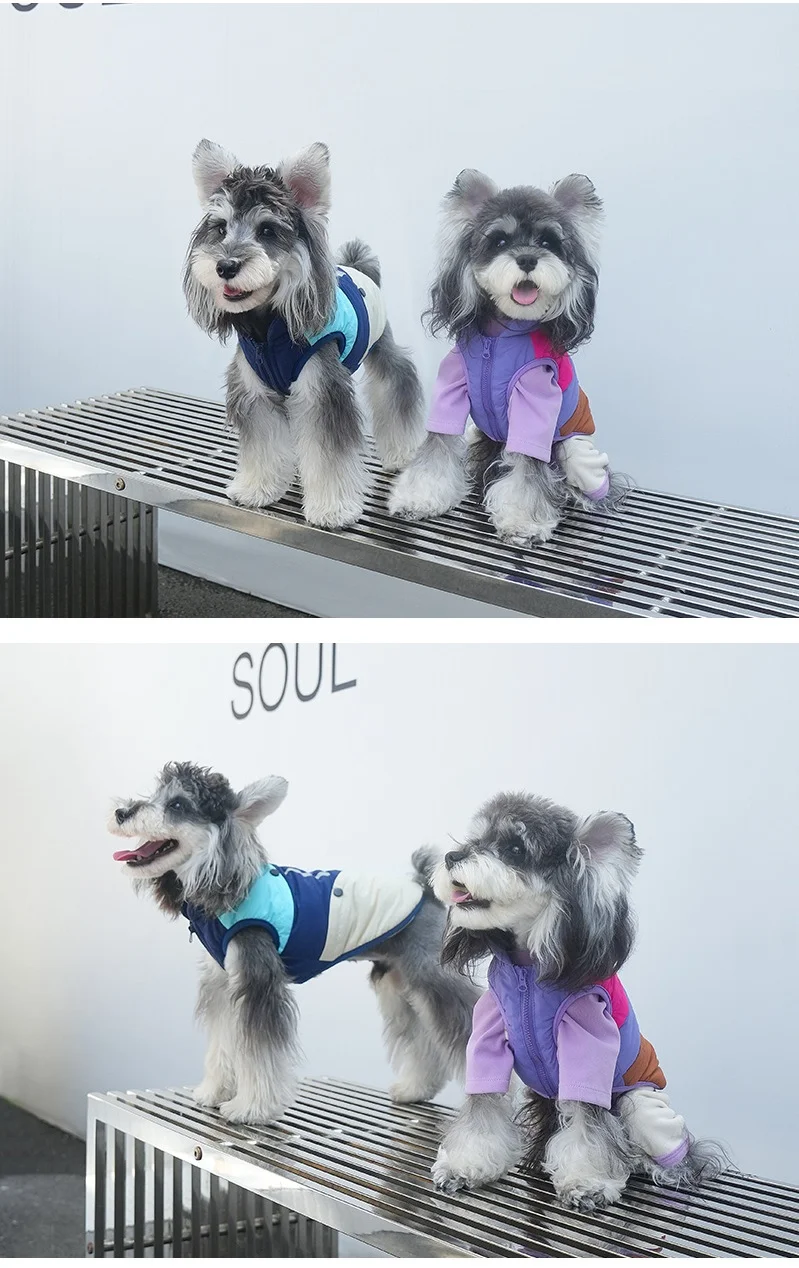 Chaqueta cálida para perros pequeños, ropa de abrigo para otoño e invierno, chaleco grueso a prueba de viento con orificio para correa, abrigo suave para perros para clima frío - imagen 3