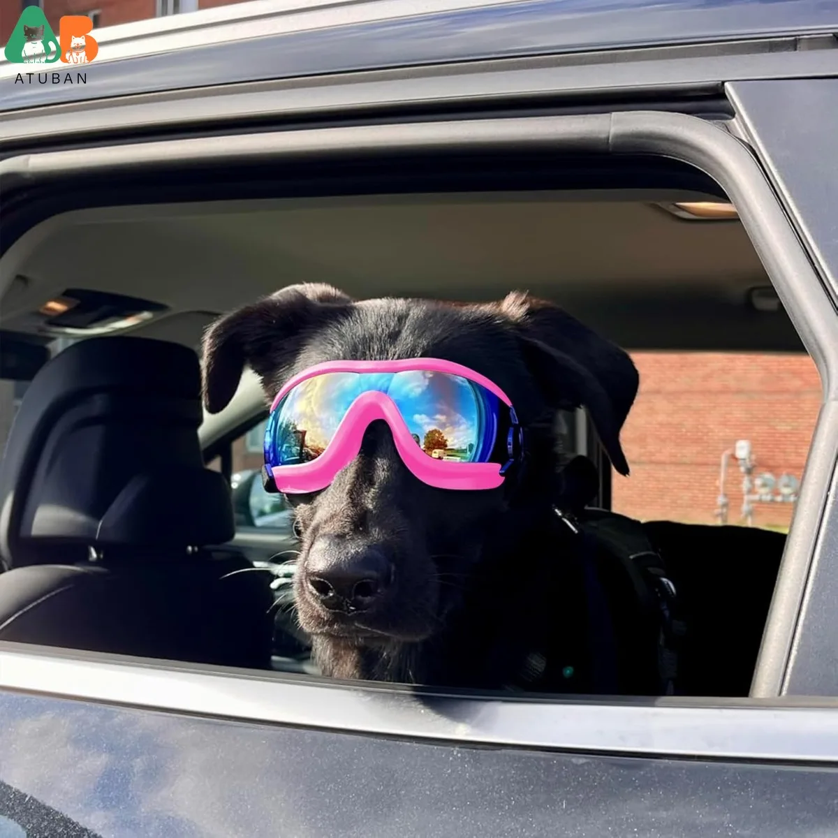 ATUBAN Gafas para perros de razas medianas a grandes, gafas de sol anti-UV para perros de razas grandes, protección ocular para perros a prueba de viento para conducir, ajustables - imagen 5