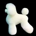 White Teddy hair
