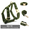 Harness Collar Set