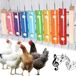 Juguete xilófono para loros – decorativo y sonoro en jaula doméstica