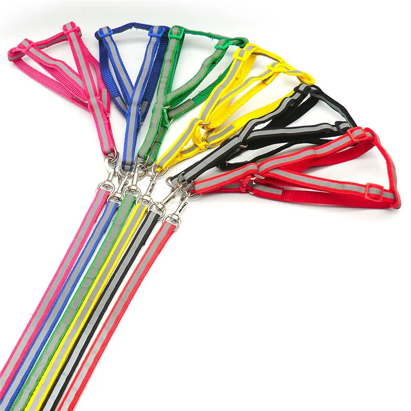 Correa reflectante - Vista principal