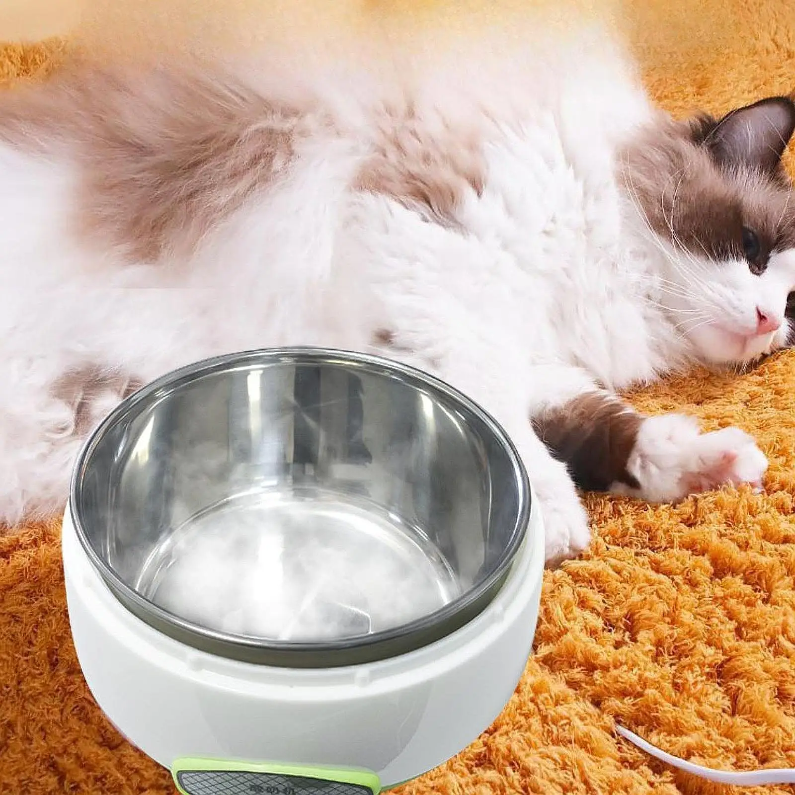 Heated Dog Pet Bowl 1000ml Mute Stainless Steel Insert for Cats Kitten Puppy