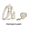 Harness   leash