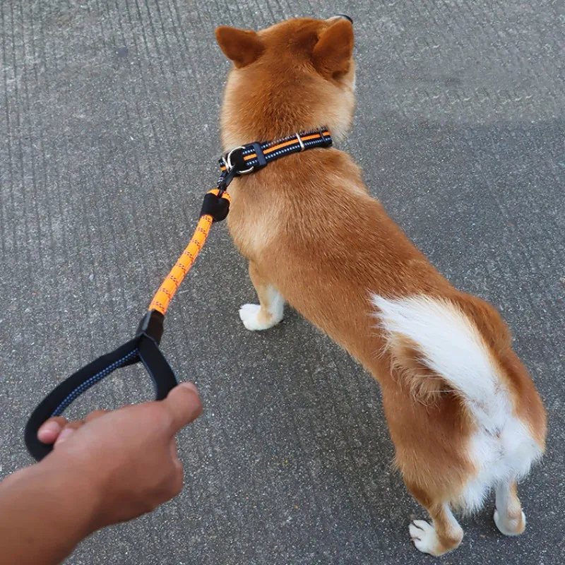 Correa para perro, correa corta para perros, correas de un solo paso para caminar, mango cómodo, correas para perros, cuerdas de entrenamiento, cadena reflectante para mascotas - imagen 3