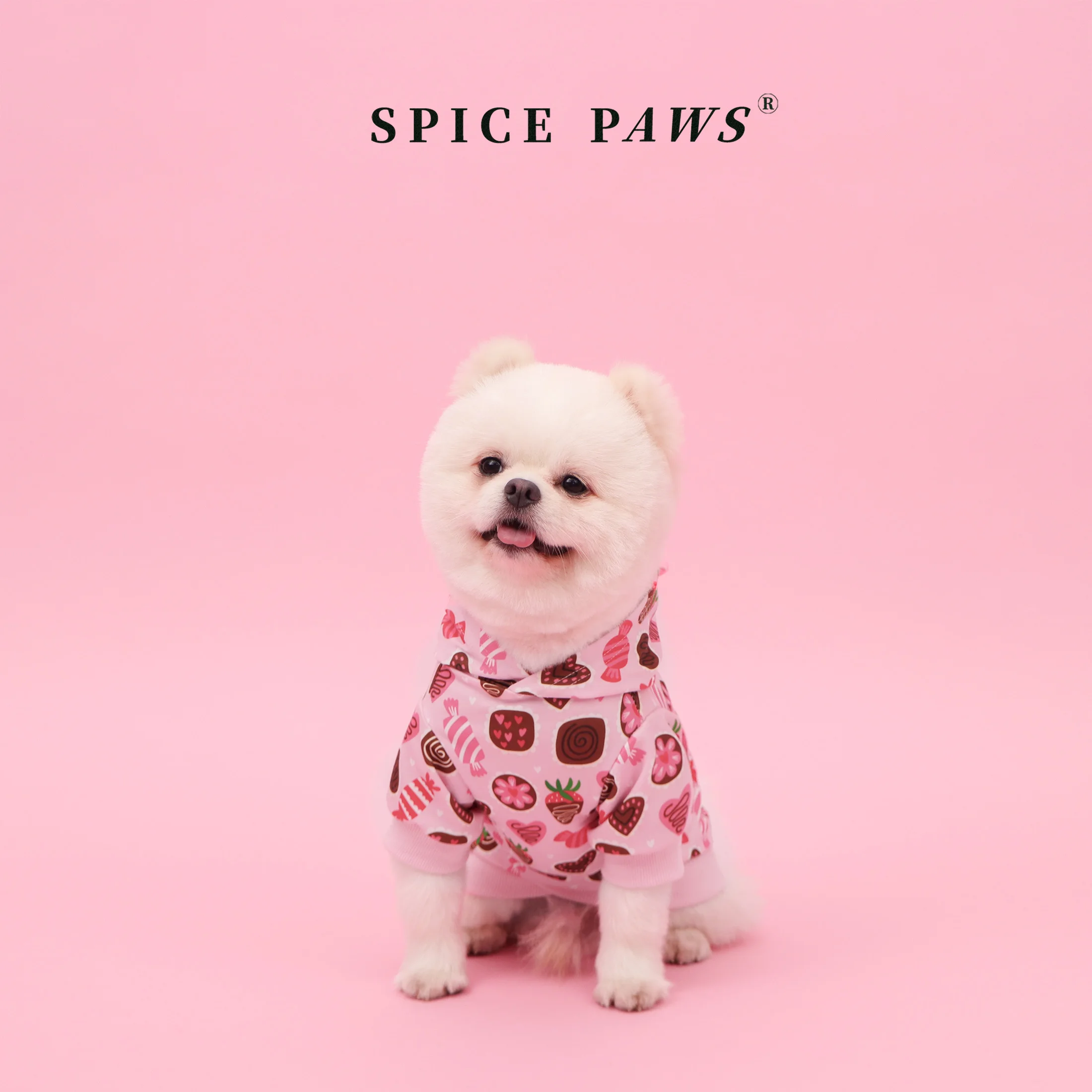 Sudadera con capucha para perros de todos los tamaños - imagen 5
