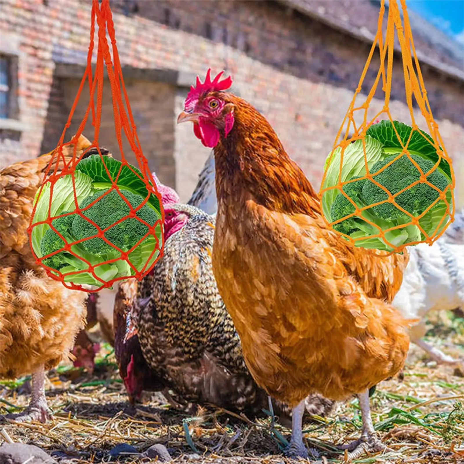 Chicken Vegetable String Bag, Poultry Fruit Holder Feeder Feeding Tool with Hook