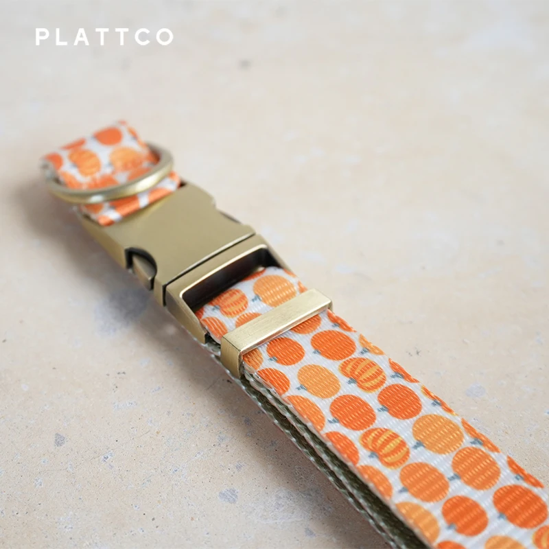 PLATTCO conjunto de perro de diseño único estampado Harvest Pumpkin con hebilla de bronce de alta calidad tamaño 5 PDC367Br y PDL367Br - imagen 4