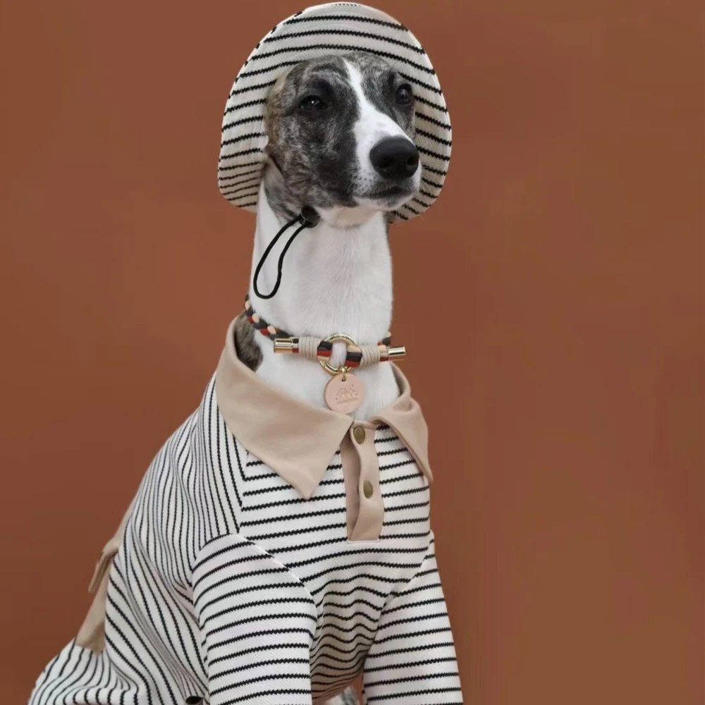 Polo a rayas con sombrero para Greyhound, abrigo de algodón suave de manga larga, traje para medios pequeños, perros Whipbit grandes, primavera y verano - imagen 3