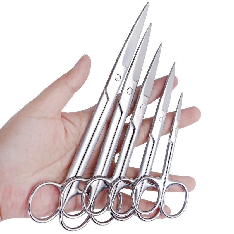 Tijeras quirúrgicas de acero inoxidable para veterinario de animales, punta curva recta, herramientas agrícolas, suministros para cerdos, vacas y ovejas, 10cm-18cm - imagen 2