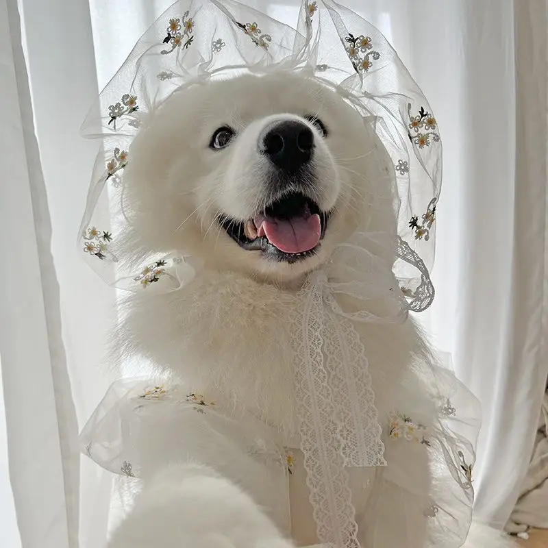 Ropa para perros grandes, traje de boda fino, vestido de novia, sombrero de pelo dorado Satsuma, vestido de perro grande, ropa de primavera y verano para mascotas - imagen 2