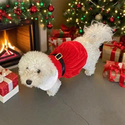 Vestido navideño de Papá Noel para perros y gatos pequeños