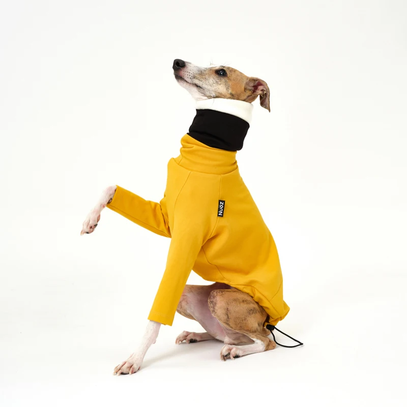 Ropa desmontable multicolor de 2 patas para Italia Greyhound Wellington, sudadera gruesa y cálida de moda para otoño para Whipbit - imagen 4