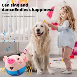 Juguete interactivo recargable para gatos y perros – Peluche tipo USB