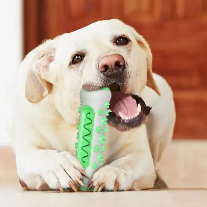 Hueso dental para perros y cachorros: limpieza bucal y aliento fresco