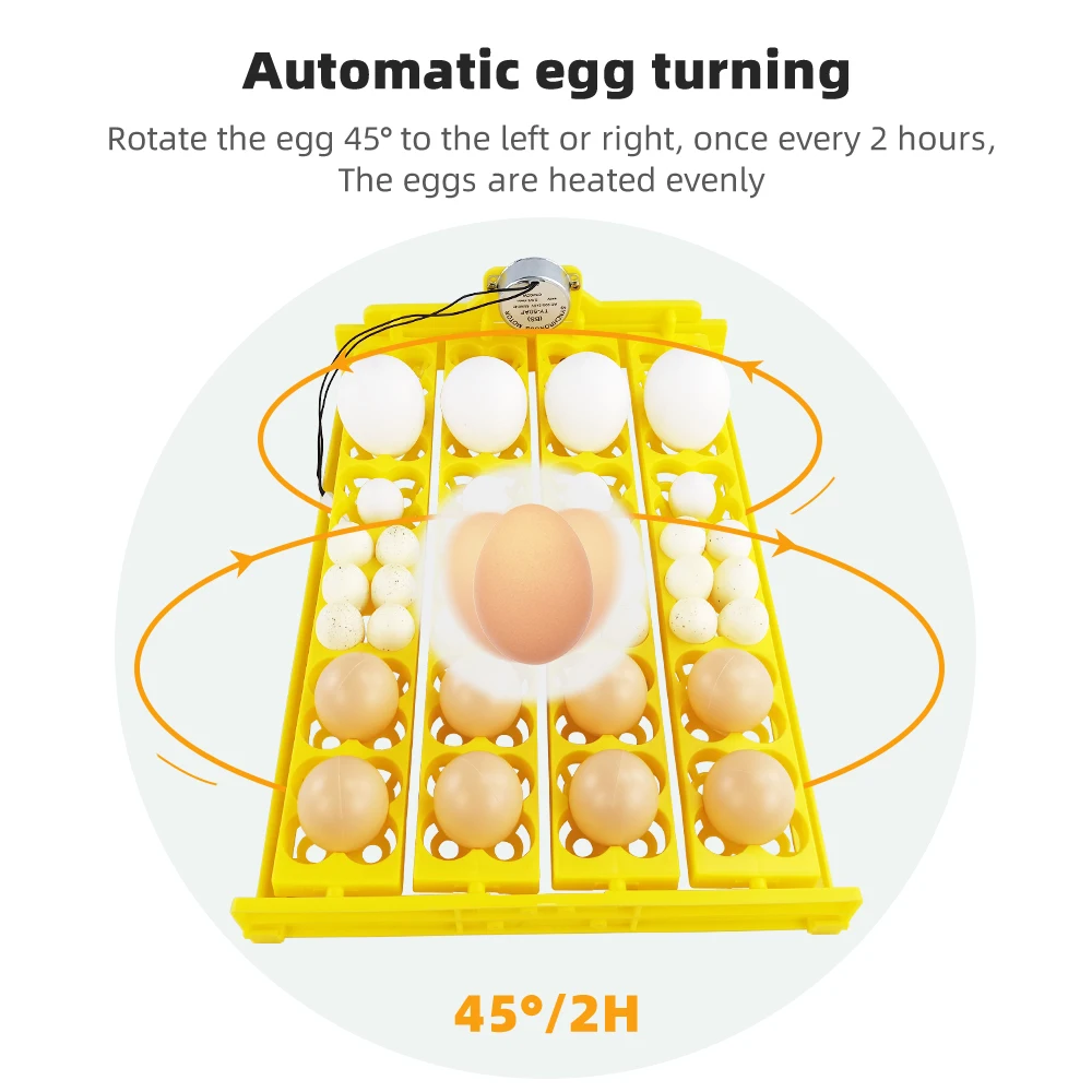 Incubadora de huevos volteo automático 12V/220V para aves - imagen 4