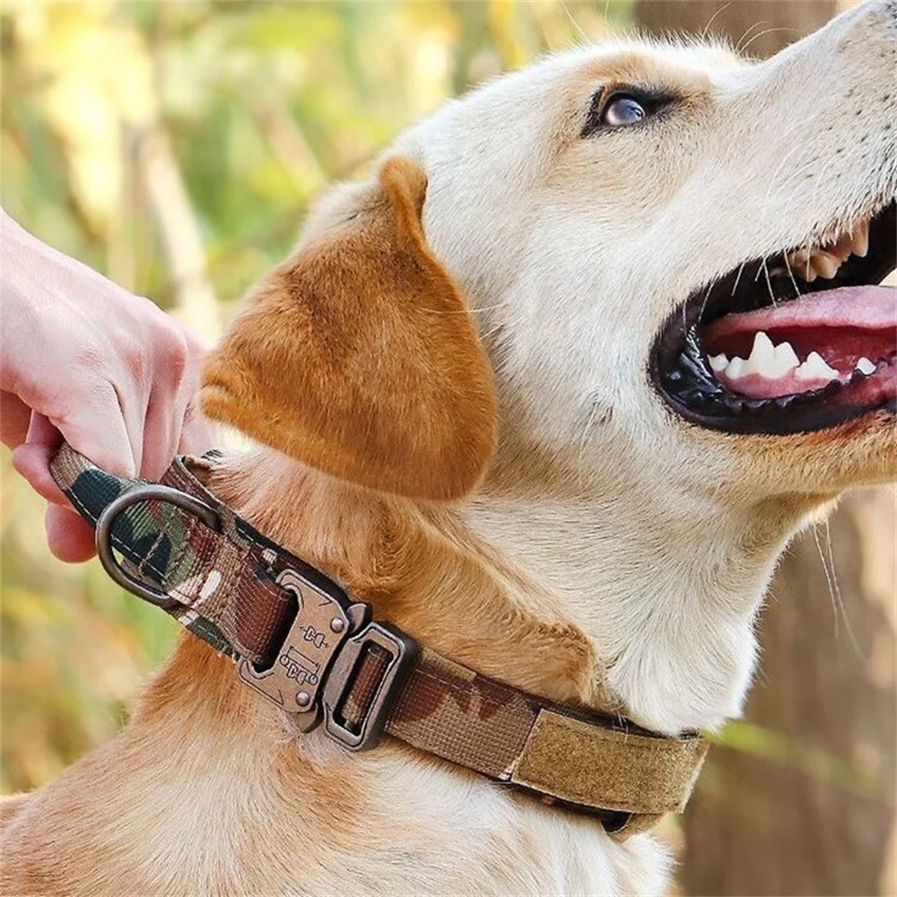 Collar para perros grandes y medianos con correa - Nailon resistente - imagen 4