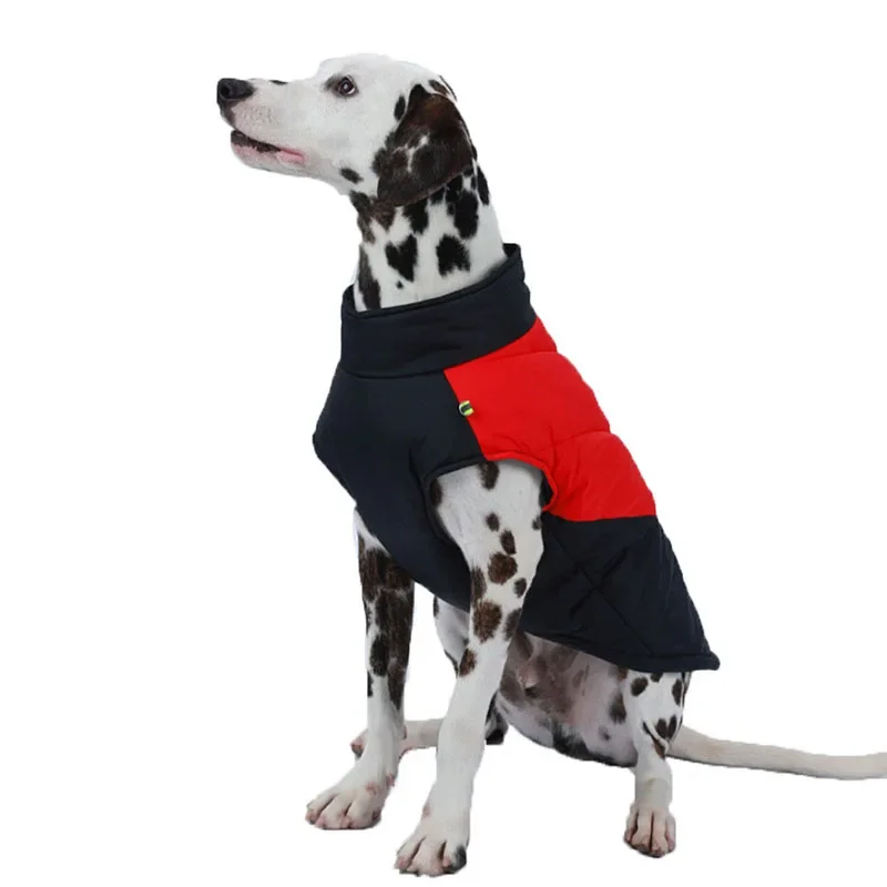 Ropa grande para perros, chaleco cálido de invierno para mascotas, chaqueta impermeable, abrigo para cachorros, ropa para perros pequeños, gato, Bulldog Francés, Labrador - imagen 3