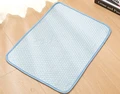 Blue Cooling Mat