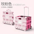 Two wheel 65L pink
