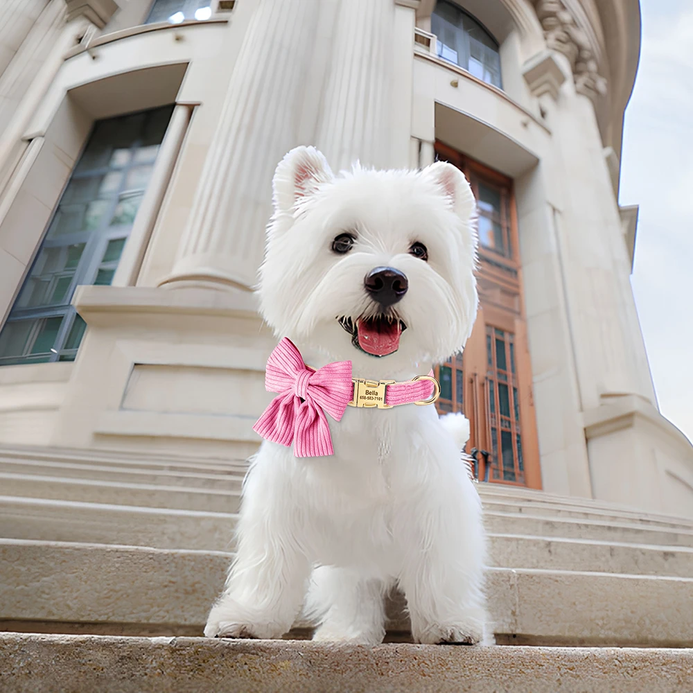 Collar de perro personalizado, bonito Collar con lazo para cachorros, collares de identificación para mascotas grabados gratis para perros pequeños, medianos y grandes, Chihuahua Pug - imagen 5