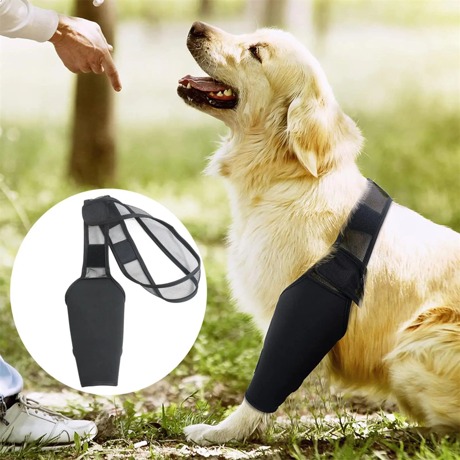 pet Rear Leg Hock Protective Sleeve Support Compression Wrap Knee Pad Protects Wounds for Prevents Injuries