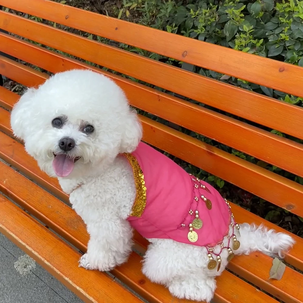 Vestido de princesa de gato pequeño sin mangas, decoración de campana, falda de gato bonita para todas las estaciones, vestido transpirable para perro, accesorios de ropa - imagen 2