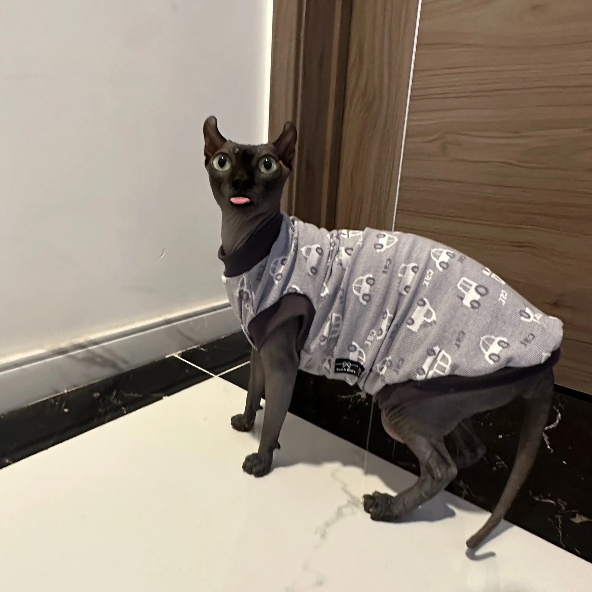 Camiseta de coches de dibujos animados para gato Sphynx, abrigo de algodón de verano de manga corta para Devon Rex, mono gris suave para gato sin pelo en primavera - imagen 3