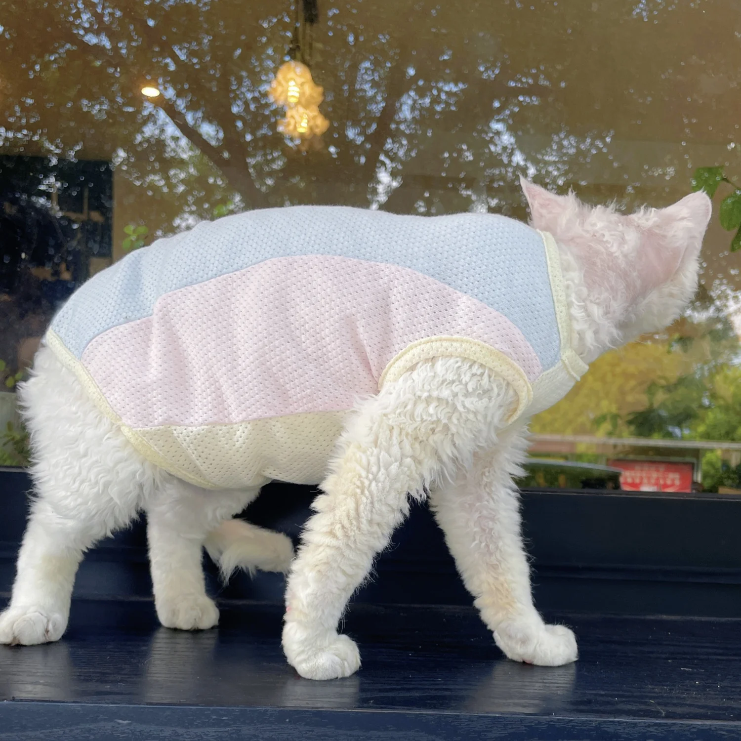 Ropa para gatos, chaleco de malla de algodón con peso ligero para gato Sphnx, camiseta de manga corta para gatitos en verano, abrigo fino Devon Rex - imagen 3