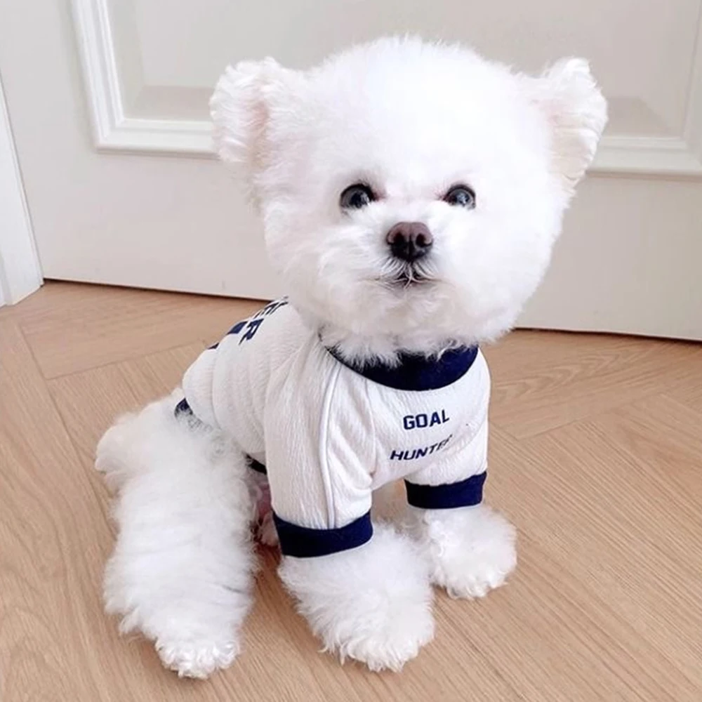 Chaleco para mascotas de otoño y primavera para perros pequeños, camiseta a la moda para cachorros y perros, camisas para gatos Pomerania Yorkshire Chihuahua, ropa para mascotas - imagen 5