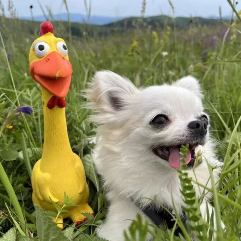 Juguetes para perros de látex chirriantes, juguetes para masticar pollo con sonido, juguete interactivo resistente a mordeduras para cachorros y gatos, divertido juguete para apretar - imagen 5