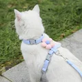 Blue with leash