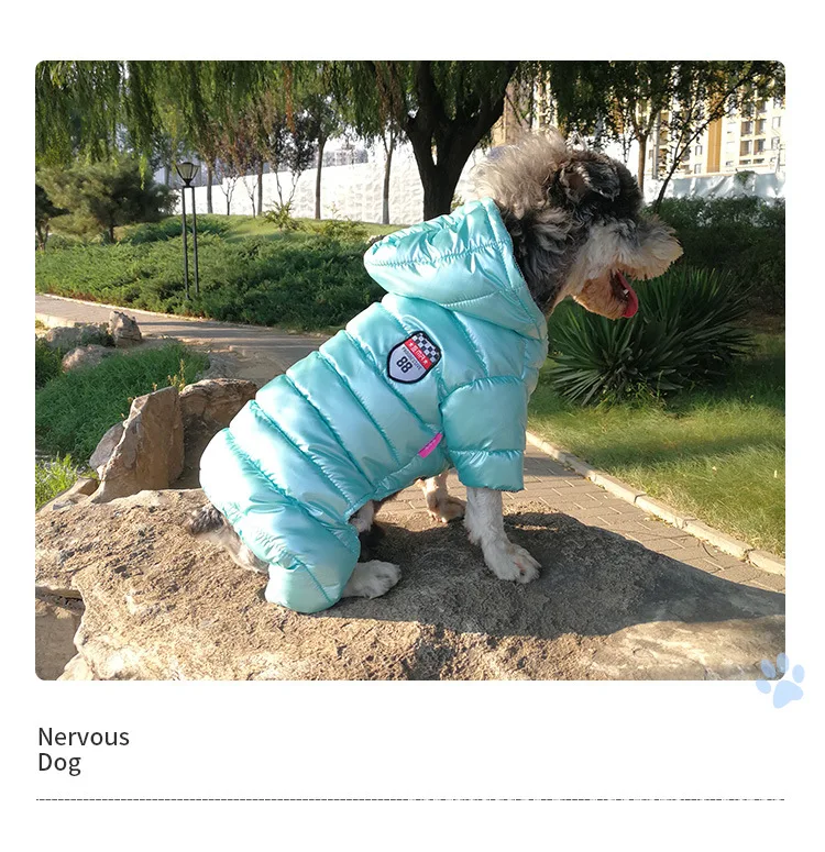 Pet Clothing _23.jpg