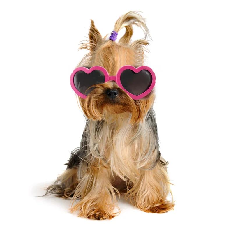 Gafas de sol corazón ajustables para perros pequeños y gatos – UV - imagen 3